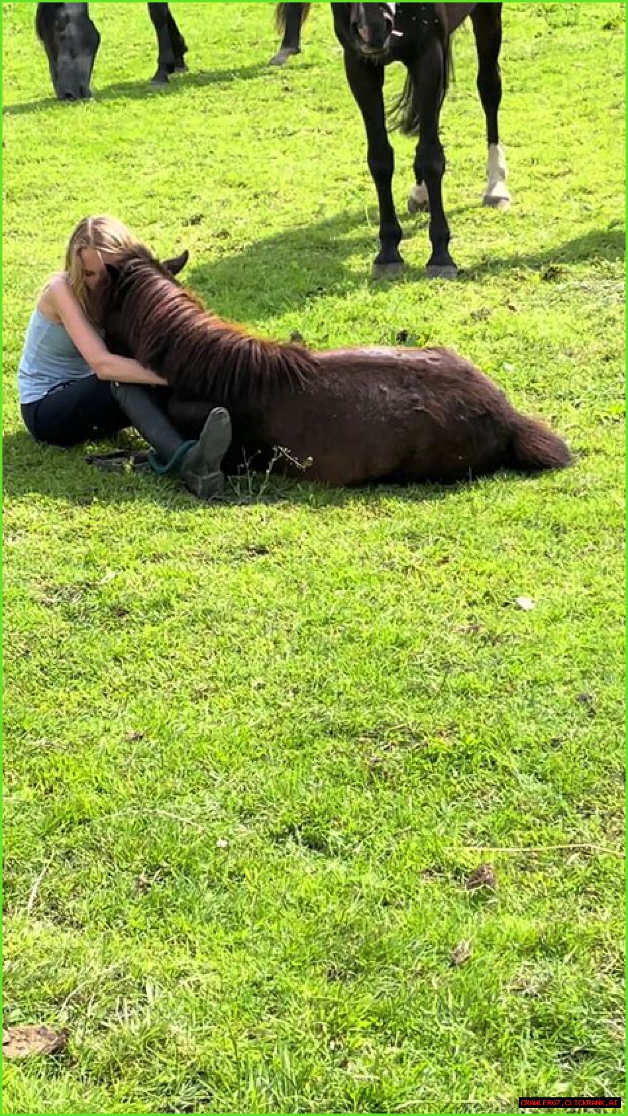 Exploring The Life And Journey Of Casper Henderson Stockwell